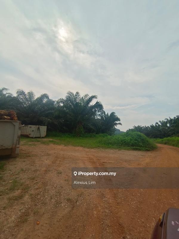 Agricultural Land for Sale in Mukim Paloh, Kluang by Alexius Lim - iProperty.com.my