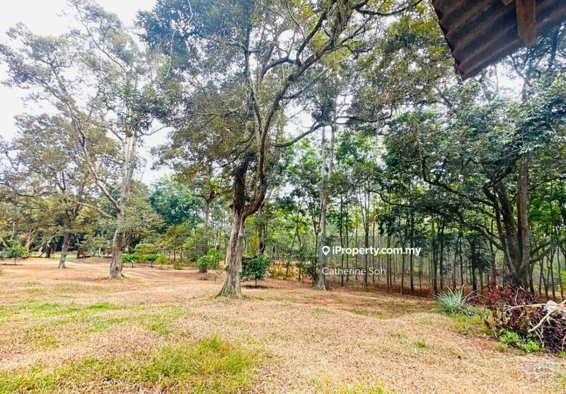 For Sale - Bukit Lintang Durian Farm 4.1ac Freehold Agriculture Land For Sale