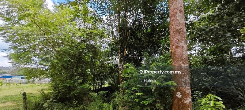 Agricultural Land for Sale in Batang Kali, Selangor by Iz Hakim - iProperty.com.my