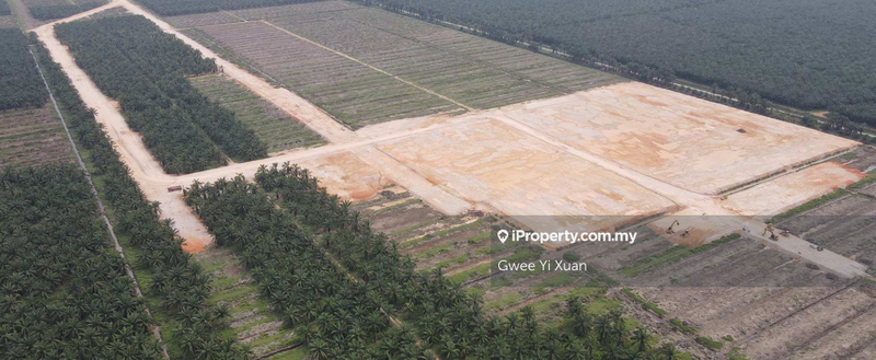 For Sale - Tanjung Langsat Leasehold Heavy Industrial Land For Sale