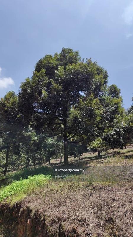 Tanah Pertanian untuk Dijual di Bandar Bukit Mahkota, Bangi oleh Wilson Tan - iProperty.com.my