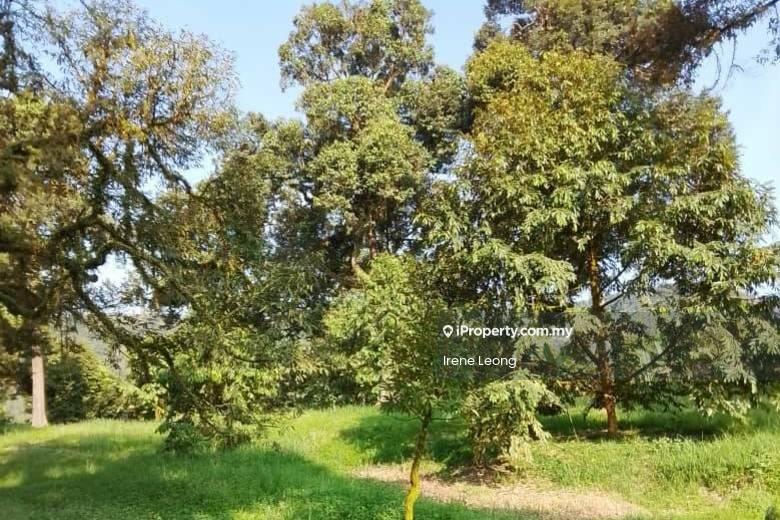 Agricultural Land for Sale in Karak, Pahang by Irene Leong - Exterior - iProperty.com.my