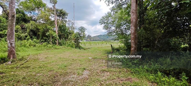 Agricultural Land for Sale in Batang Kali, Selangor by Iz Hakim - iProperty.com.my