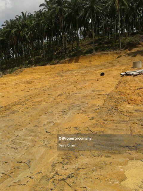 Tanah Pertanian untuk Dijual di Kampung Sungai Lalang, Semenyih oleh Terry Chan - iProperty.com.my