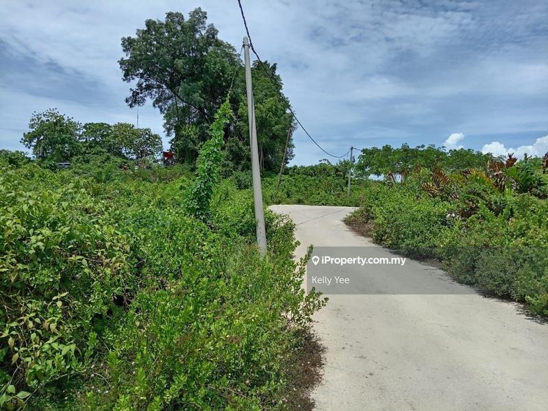 Agricultural Land for Sale in Agriculture Land Near Taman Bukit Juru for Sale, Simpang Ampat by Kelly Yee - iProperty.com.my