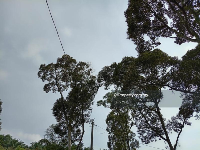 Tanah Pertanian untuk Dijual di Durian Orchard Farm @ Machang Bubok for Sale, Bukit Mertajam oleh Kelly Yee - iProperty.com.my