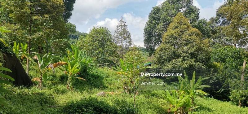 For Sale - Balik Pulau Agriculture land for sales