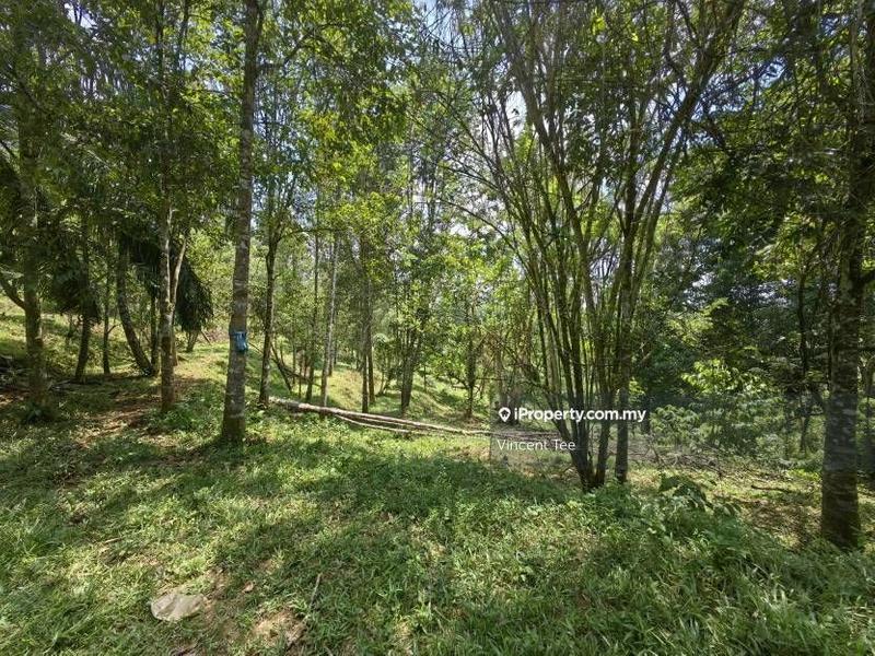 For Sale - 9 Acres Freehold Agriculture Land with Agarwood Kuala Lipis