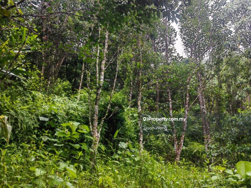 Tanah Pertanian untuk Dijual di Jalan Kota Bharu, Gua Musang, Kuala Krai, Kelantan, Gua Musang oleh Jason Wong - iProperty.com.my