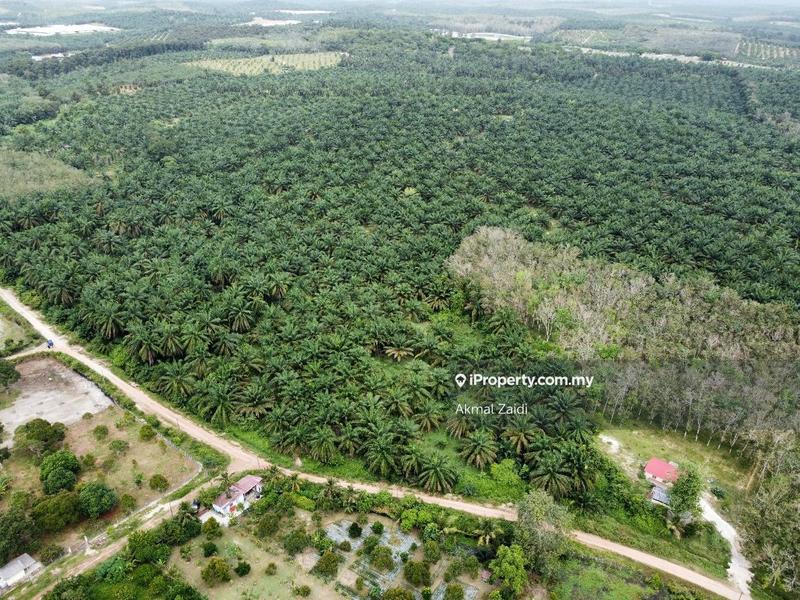 Tanah Perindustrian untuk Dijual di Kawasan Perindustrian Bukit Rambai, Bukit Rambai oleh Akmal Zaidi - iProperty.com.my