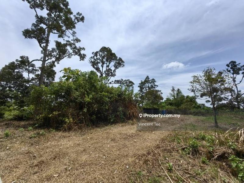 Agricultural Land for Sale in Bandar Lipis, Kuala Lipis by Vincent Tee - iProperty.com.my