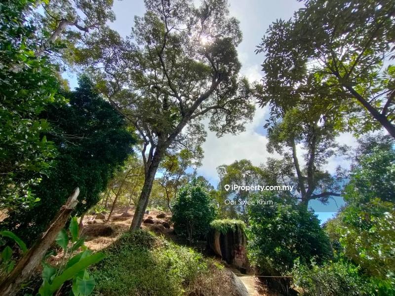 Tanah Pertanian untuk Dijual di Teluk Kumbar, Penang oleh Ooi Swee Khim - iProperty.com.my