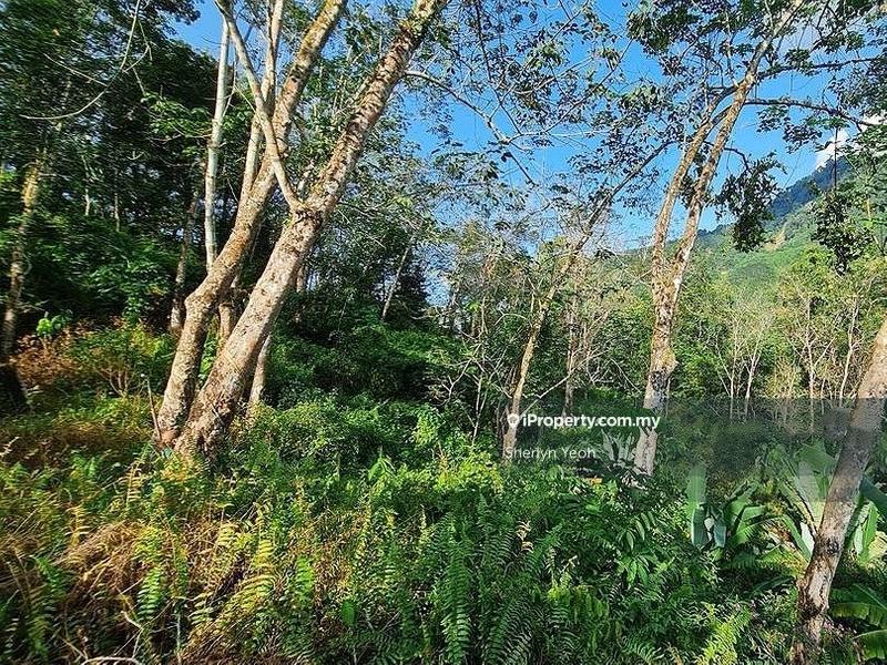 Agricultural Land for Sale in Sungai Dua, Sabai by Sherlyn Yeoh - iProperty.com.my