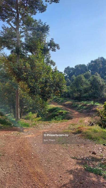Agricultural Land for Sale in Taman Jelebu, Kuala Klawang by Ken Tham - iProperty.com.my
