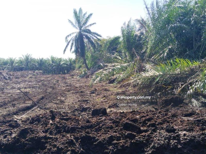 Agricultural Land for Rent in Kampung Parit Sikom Lapis, Ayer Baloi by Gyden Heng - iProperty.com.my