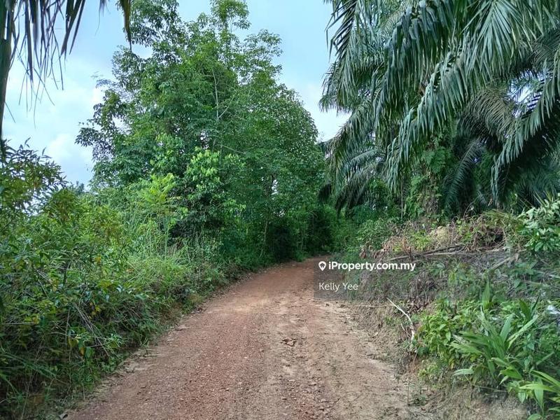 Agricultural Land for Sale in Palm Oil Plantation Along Jalan Kulim - Baling, Kulim by Kelly Yee - iProperty.com.my