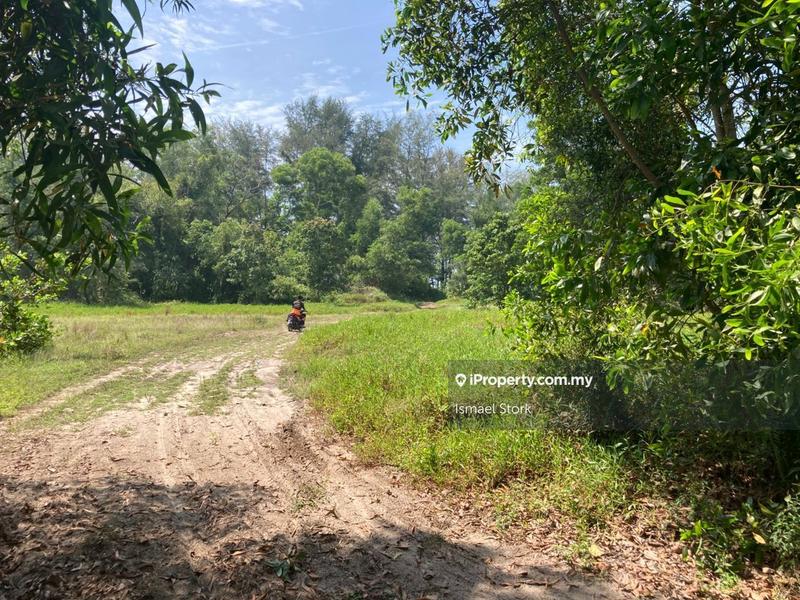 Agricultural Land for Sale in Kampung Sungai Ular, Sungai Karang by Ismael Stork - iProperty.com.my