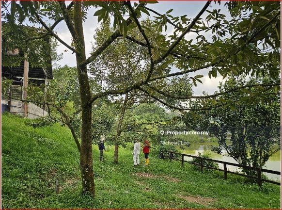 Agricultural Land for Sale in Kampung Sungai Makau, Hulu Langat by Nicholas Lee - iProperty.com.my