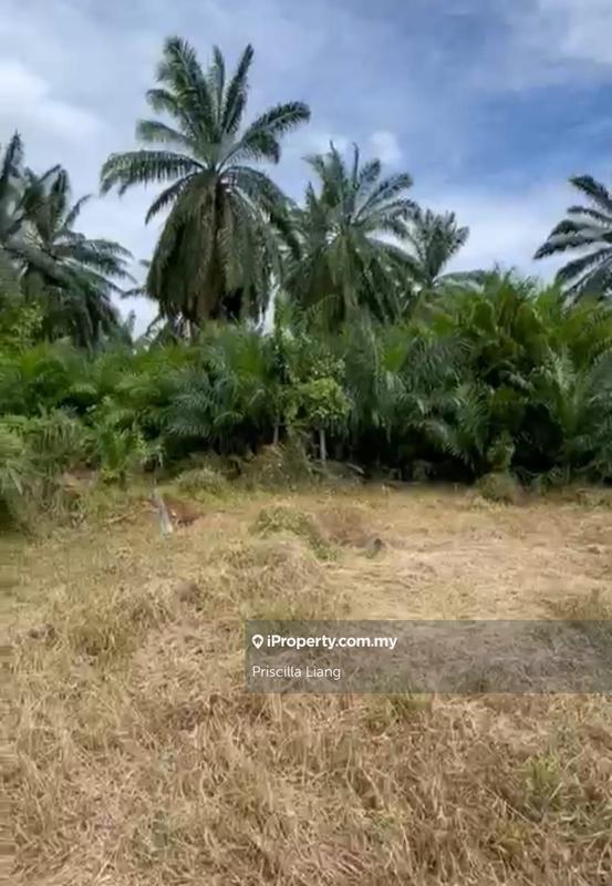 Tanah Pertanian untuk Dijual di Tanjung Dua Belas, Banting oleh Priscilla Liang - iProperty.com.my