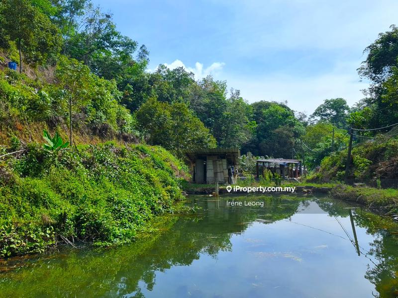 Agricultural Land for Sale in Bentong, Pahang by Irene Leong - iProperty.com.my