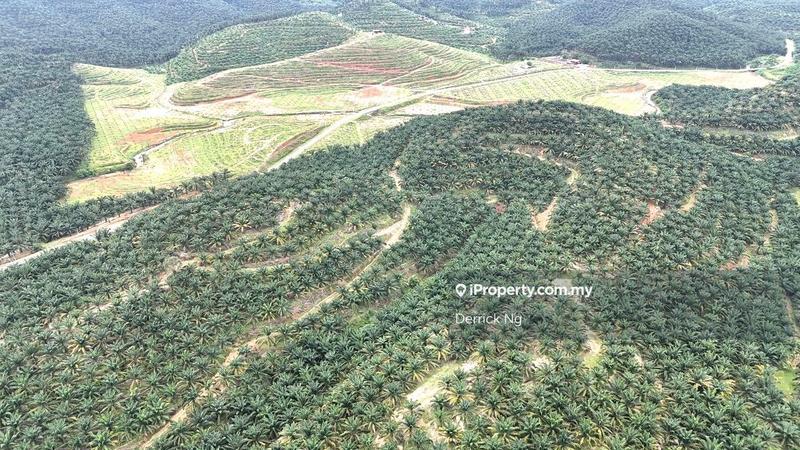 Tanah Pertanian untuk Dijual di Taman Kuala Ketil, Tawar oleh Derrick Ng - iProperty.com.my