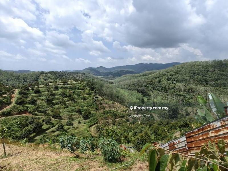 Agricultural Land for Sale in Pekan Baru Titi, Titi by Vincent Tee - iProperty.com.my