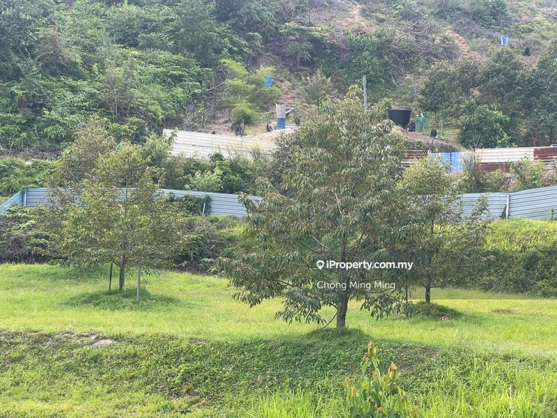 Agricultural Land for Sale in Kampung Pantai, Pantai by Chong Ming Ming - iProperty.com.my