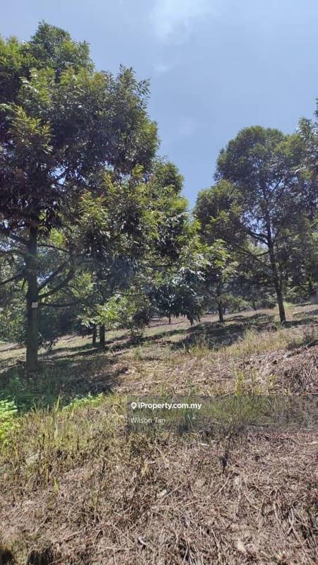 Tanah Pertanian untuk Dijual di Bandar Bukit Mahkota, Bangi oleh Wilson Tan - iProperty.com.my