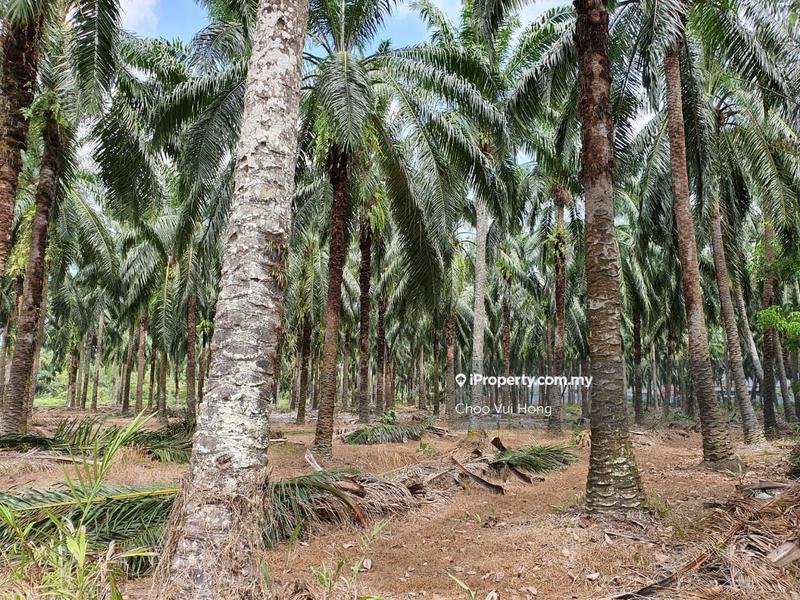 For Sale - Lekir Sitiawan Perak Tengah