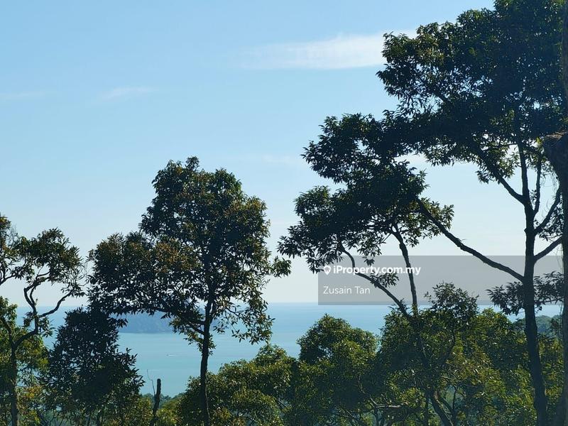 Agricultural Land for Sale in Gertak Sanggul, Bayan Lepas by Zusain Tan - iProperty.com.my