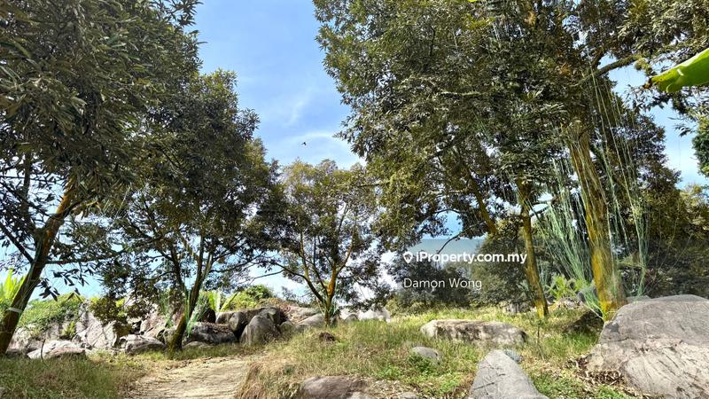 Tanah Pertanian untuk Dijual di Sungai Klau, Raub oleh Damon Wong - iProperty.com.my