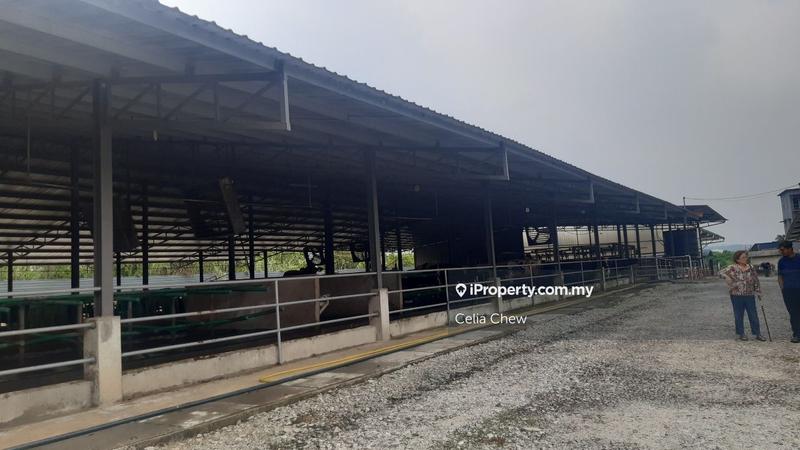 Agricultural Land for Sale in Rumah Burung, Batang Kali by Celia Chew - iProperty.com.my