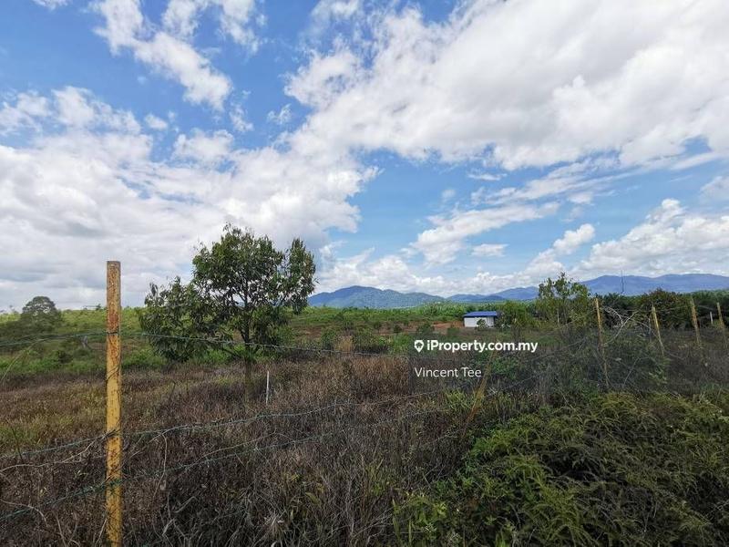 Tanah Pertanian untuk Dijual di Taman Jelebu, Kuala Klawang oleh Vincent Tee - iProperty.com.my