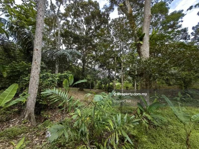 Residential Land for Sale in Taman Jelebu, Kuala Klawang by Vincent Tee - iProperty.com.my