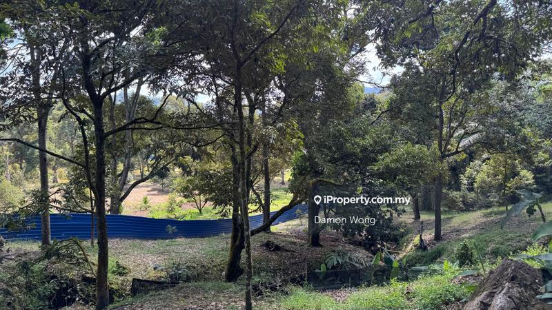 Agricultural Land for Sale in Cheroh, Raub by Damon Wong - iProperty.com.my