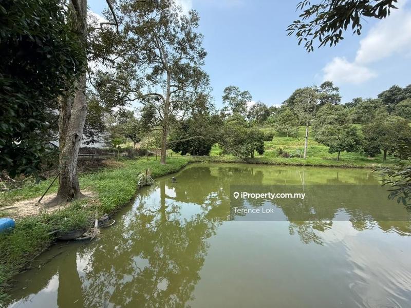 Tanah Pertanian untuk Dijual di Hosapa, Titi oleh Terence Lok - iProperty.com.my