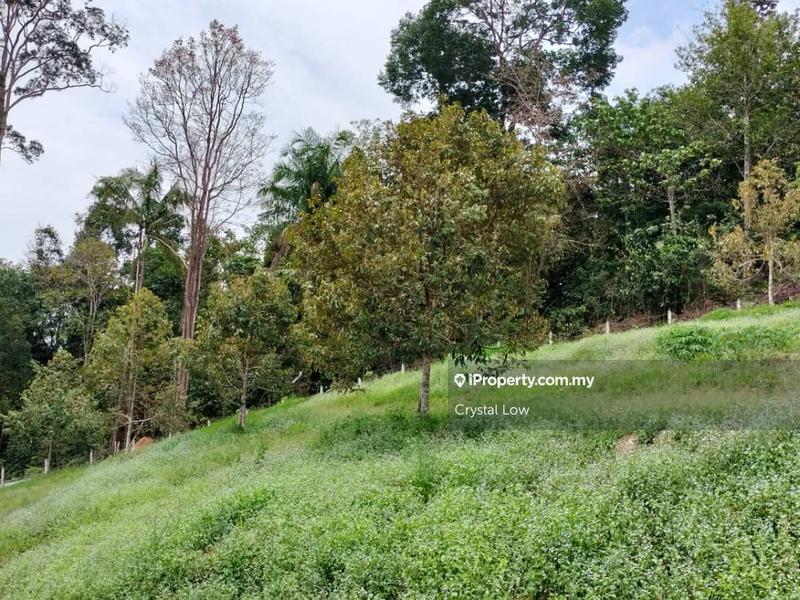 Tanah Pertanian untuk Dijual di Sega, Raub oleh Crystal Low - iProperty.com.my