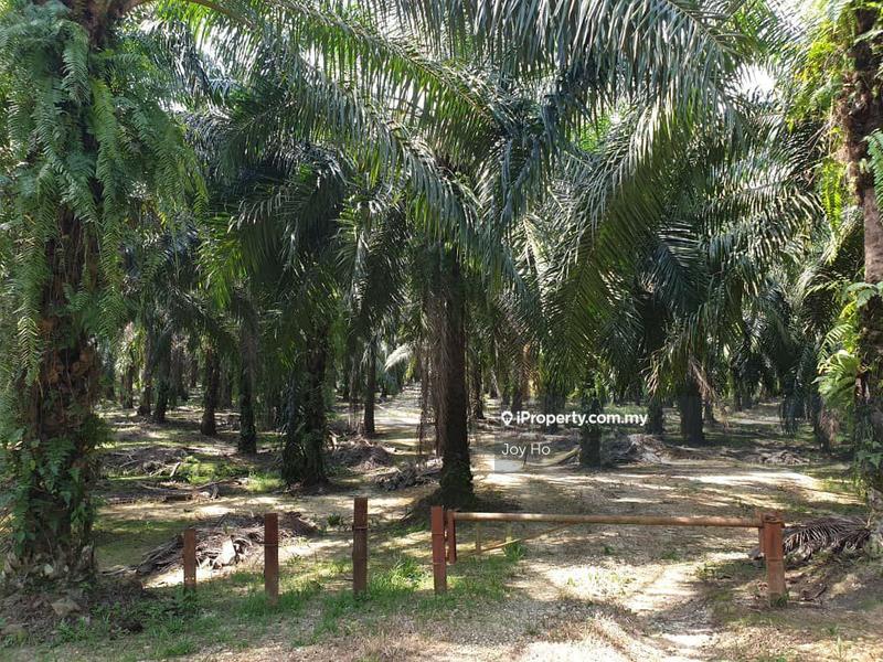 For Sale - Parit, Perak