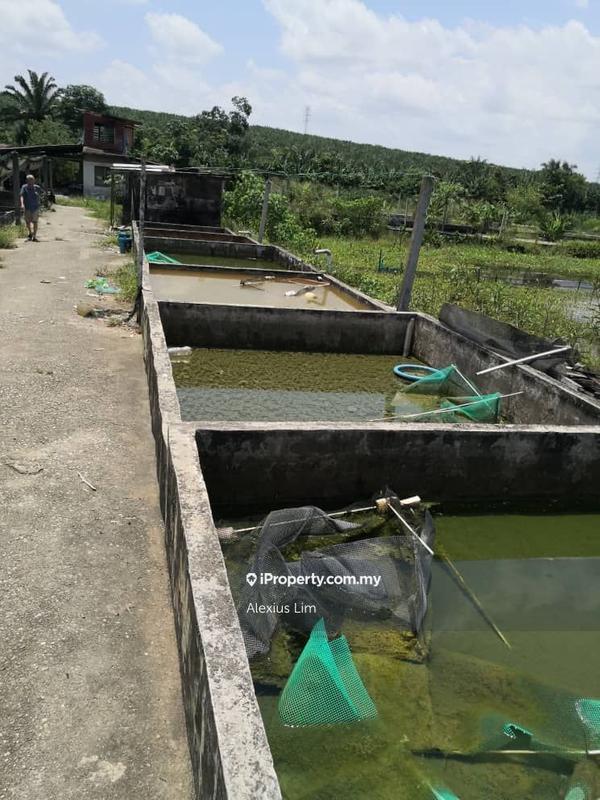 Agricultural Land for Sale in Kulai, Kulai by Alexius Lim - iProperty.com.my