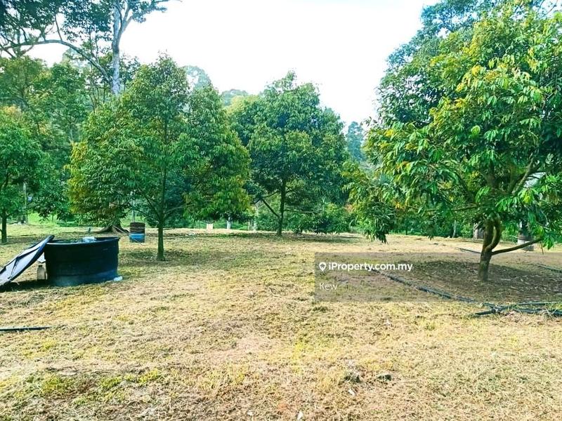 Tanah Pertanian untuk Dijual di Negeri Sembilan , Titi, Titi oleh Kew - iProperty.com.my