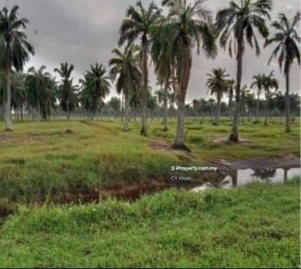 Agricultural Land for Sale in Selangor Kuala Langat Morib Banting 42700, Banting by CY Khoo - iProperty.com.my