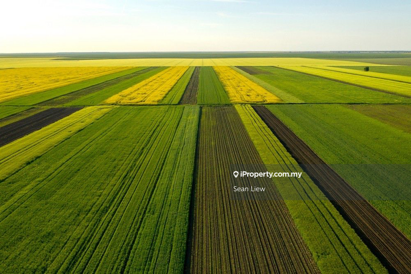 Tanah Perindustrian untuk Dijual di Sungai Buaya , Rawang , Selangor, Rawang oleh Sean Liew - iProperty.com.my