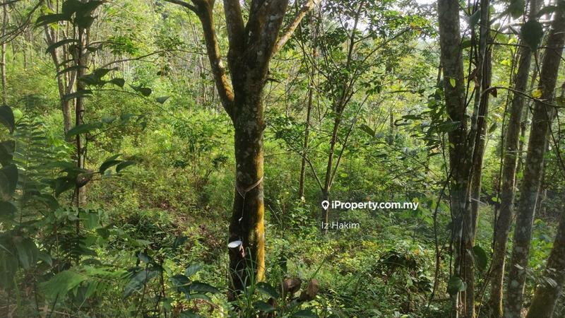Tanah Pertanian untuk Dijual di hulu rening, Batang Kali oleh Iz Hakim - iProperty.com.my