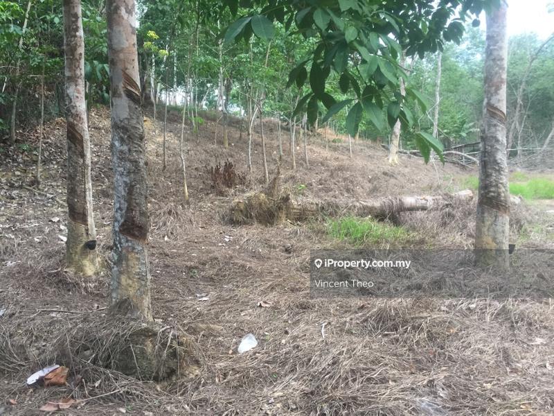 Agricultural Land for Sale in Kampung Tempoyang, Kuala Lipis by Vincent Theo - iProperty.com.my