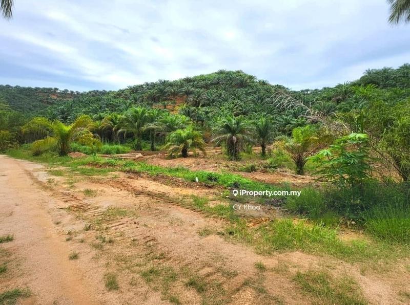 Tanah Pertanian untuk Dijual di Kelantan Gua Musang Limau Kasturi Sungai Galas, Limau Kasturi oleh CY Khoo - iProperty.com.my