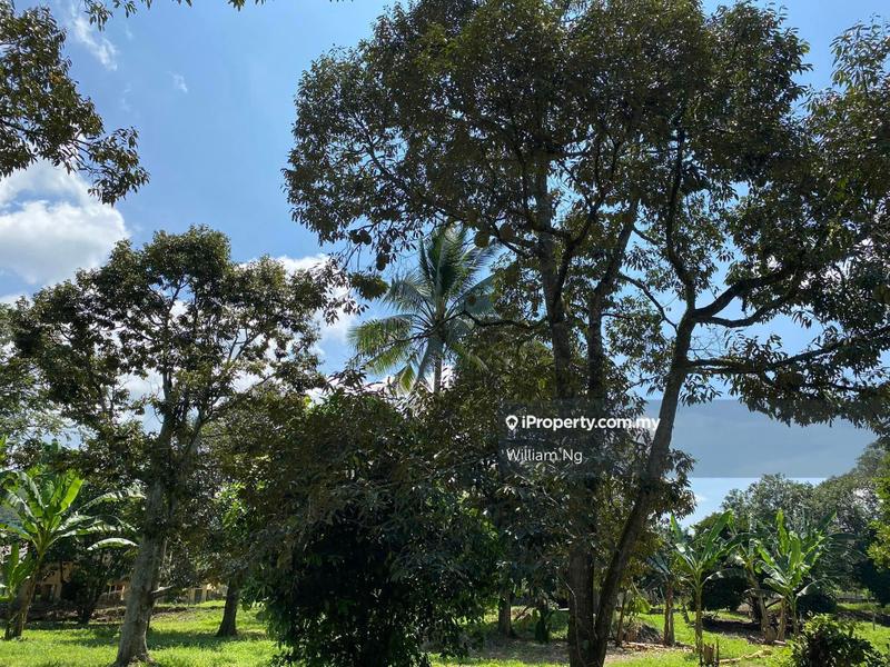 Agricultural Land for Sale in Taman Jelebu, Kuala Klawang by William Ng - iProperty.com.my