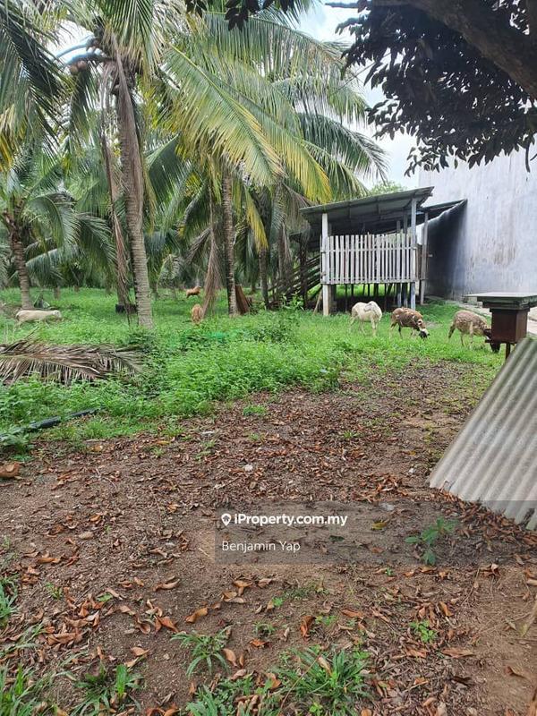 Agricultural Land for Sale in Panchor, Durian Tunggal by Benjamin Yap - iProperty.com.my