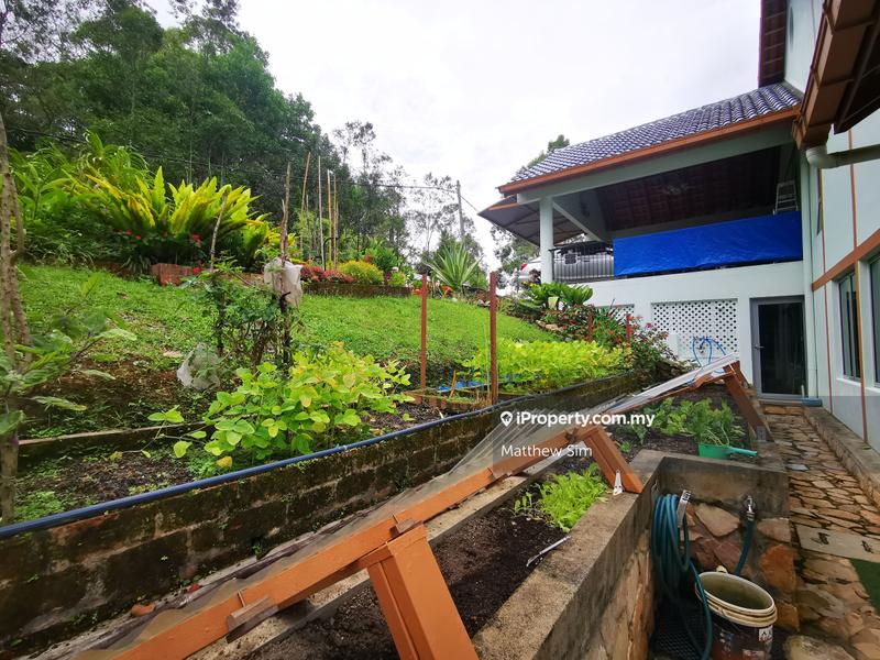 Bungalow House for Sale in Bukit Tinggi, Bentong by Matthew Sim - iProperty.com.my