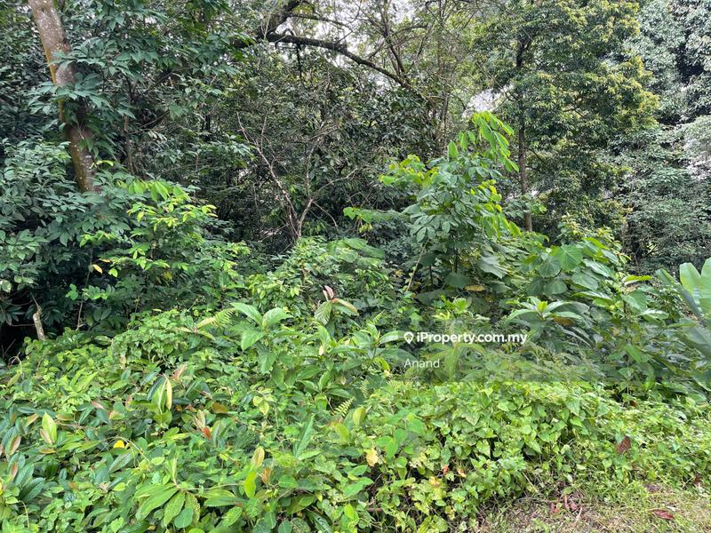 Bungalow Land for Sale in Country Heights Damansara, Kuala Lumpur by Anand - iProperty.com.my