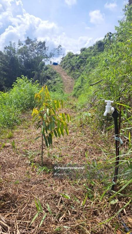 Agricultural Land for Sale in Papar, Sabah by Angela Yen - iProperty.com.my
